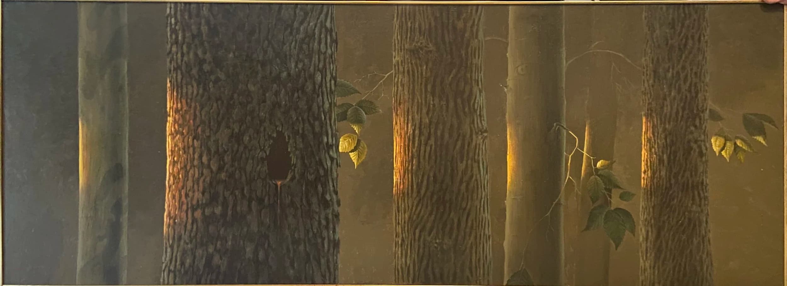 Barbara Gardner — Tree
