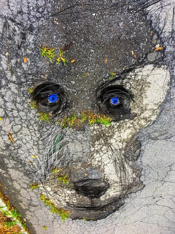 Barbara Taff — Tar Wolf